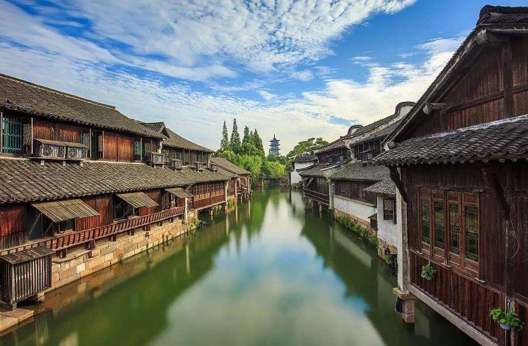 寻找沙漠珍宝